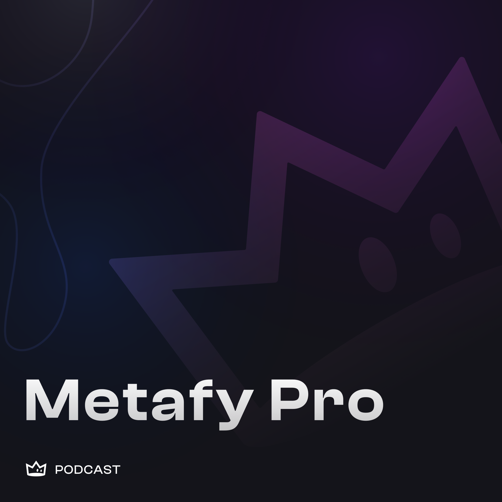 Metafy Pro Podcast 
