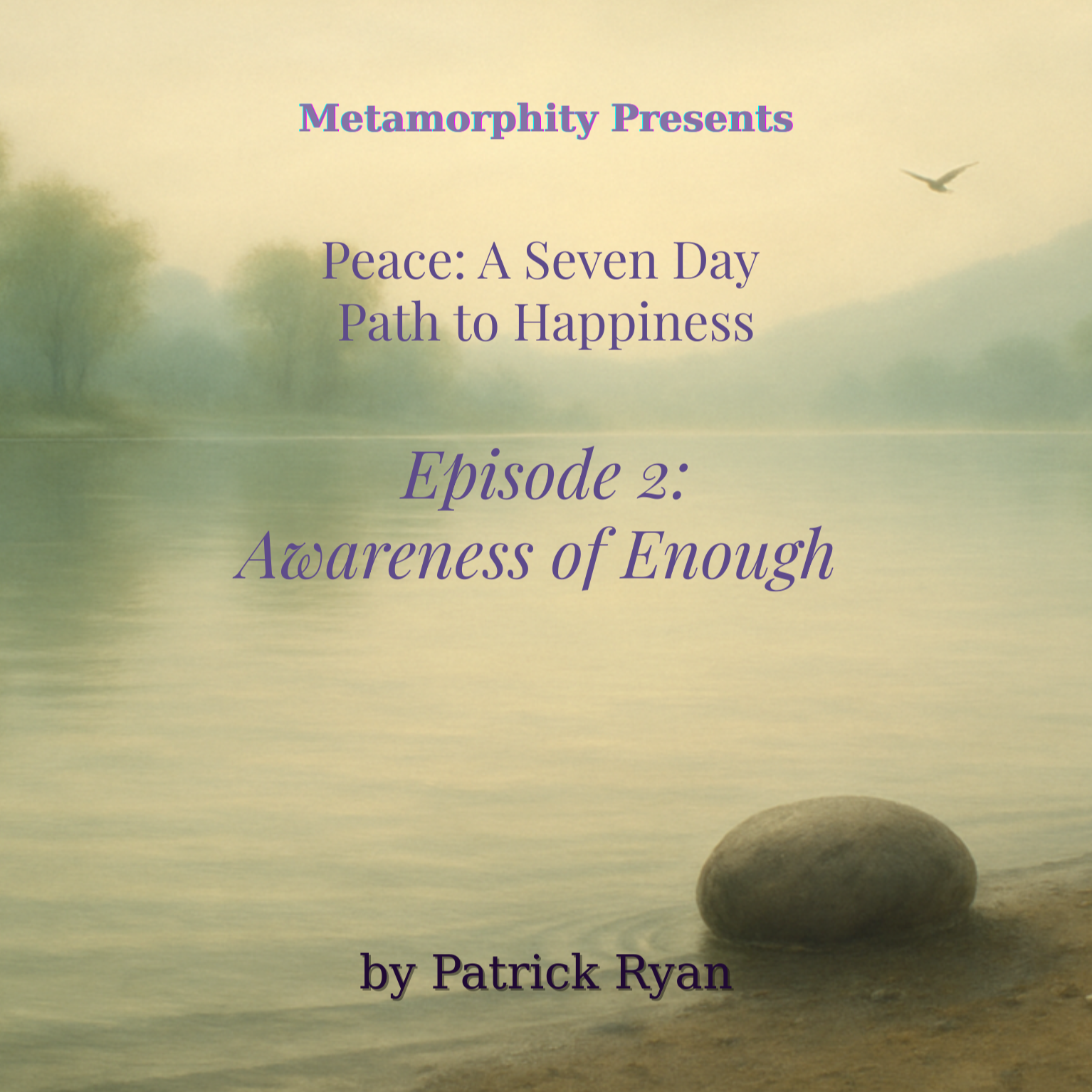 Episode 2 Guided Meditation; Awareness of Enough episode artwork