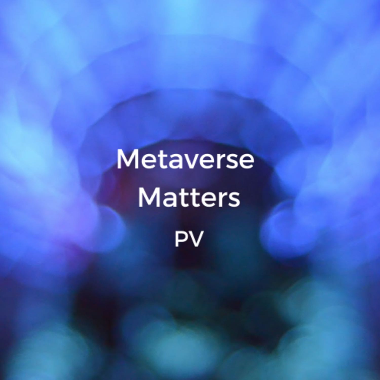 Metaverse Matters