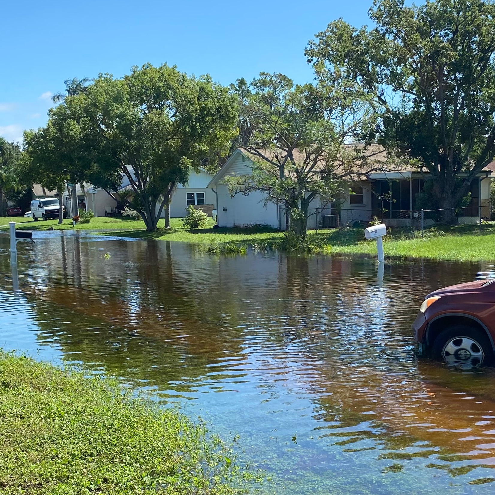 Mental Health Check: Hurricane Fatigue and PTSD After Helene and Milton