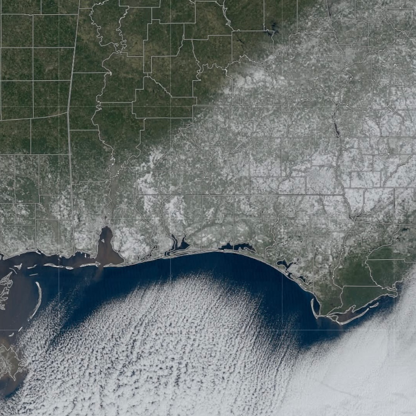 Historic Gulf Coast Snowstorm Dumps Record Snow in Florida