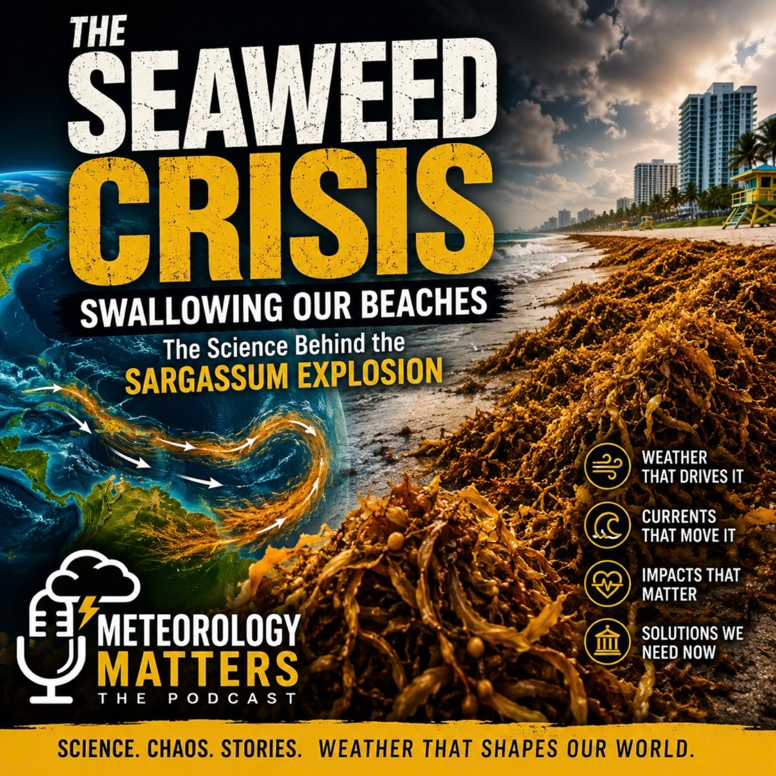 The Seaweed Crisis Swallowing Our Beaches | The Science Behind the Sargassum Explosion episode artwork