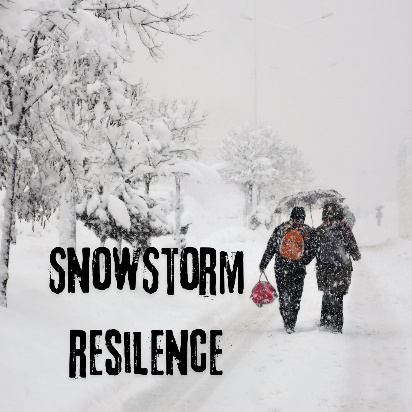 “Snowstorm: A Tale of Resilience and Reflection” | Memoir 3 0f 6 | 2024 | E26