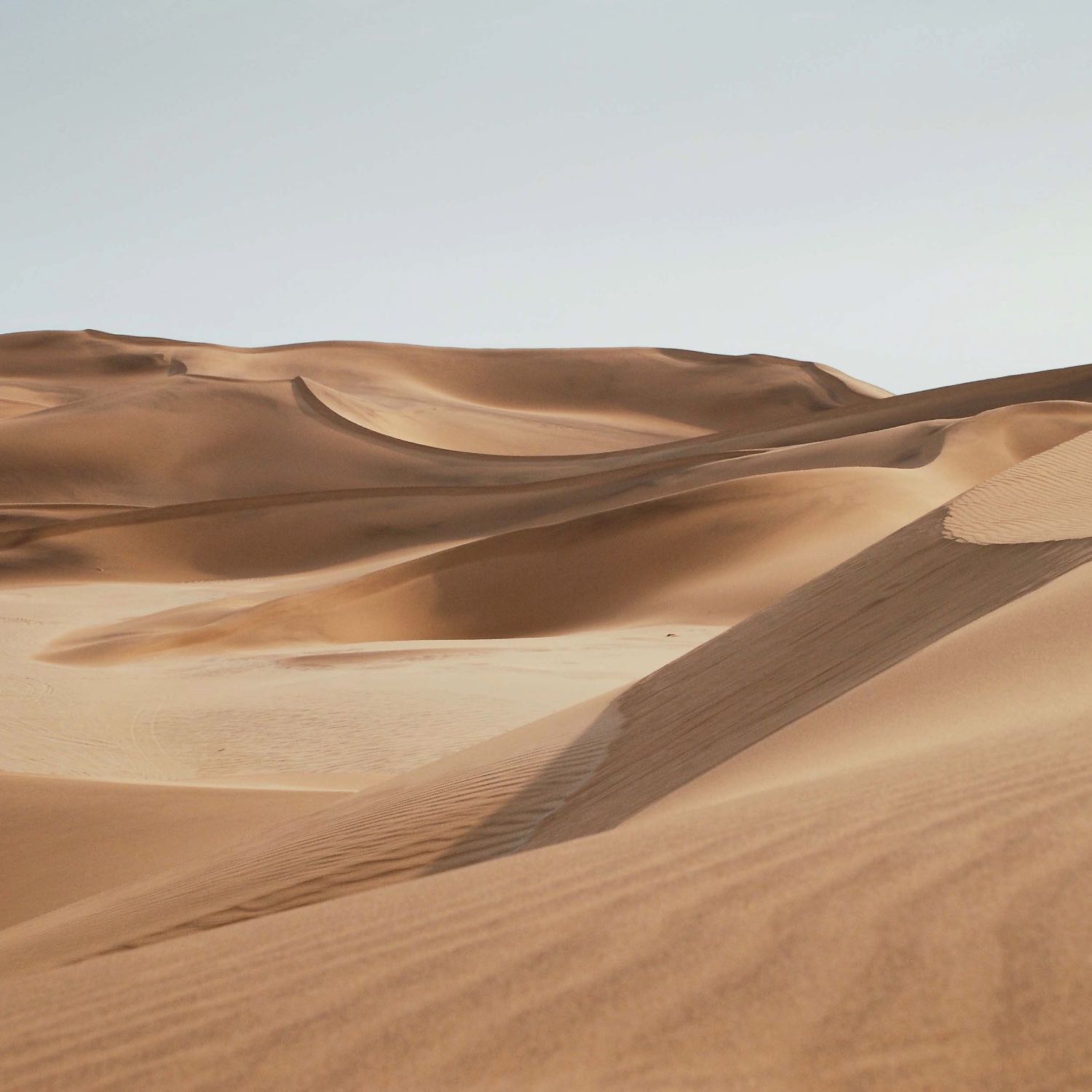 Dr. Neslihan İskit ile Farkındalık Meditasyonu