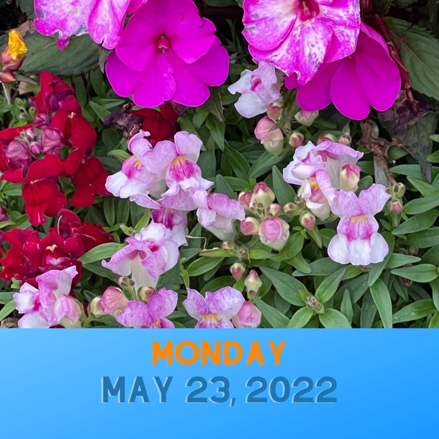 Your Morning Message!  Monday, 5-23-22 