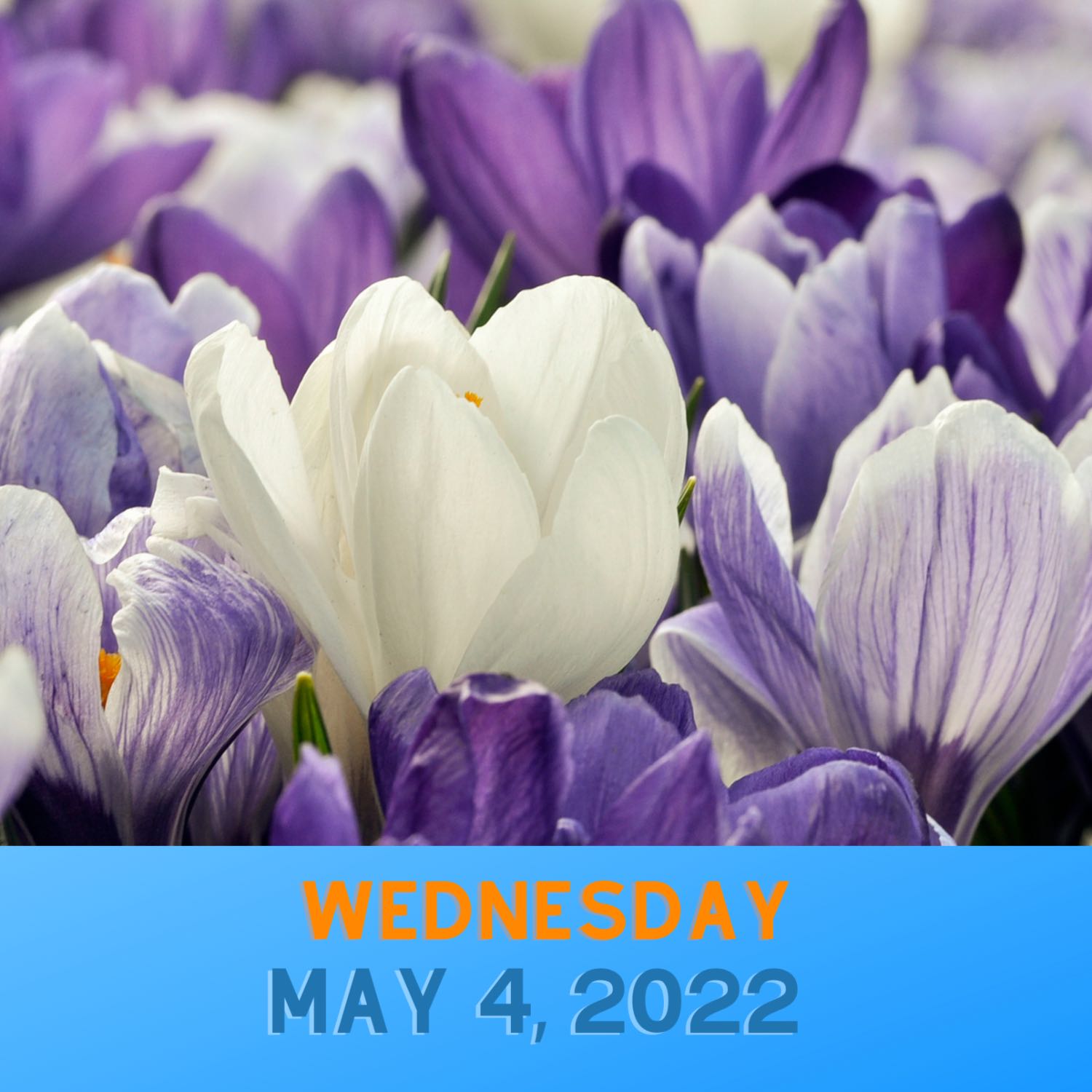 Your Morning Message!  Wednesday,  5-4-22 