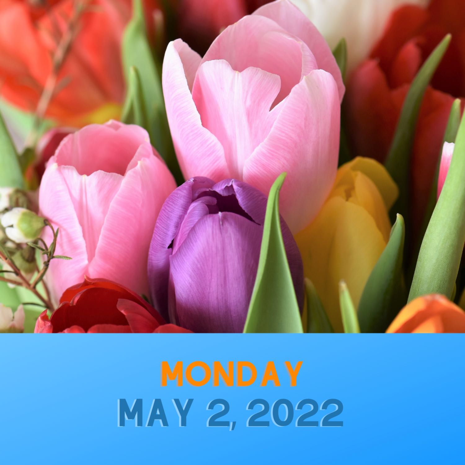 Your Morning Message!  Monday, 5-2-22