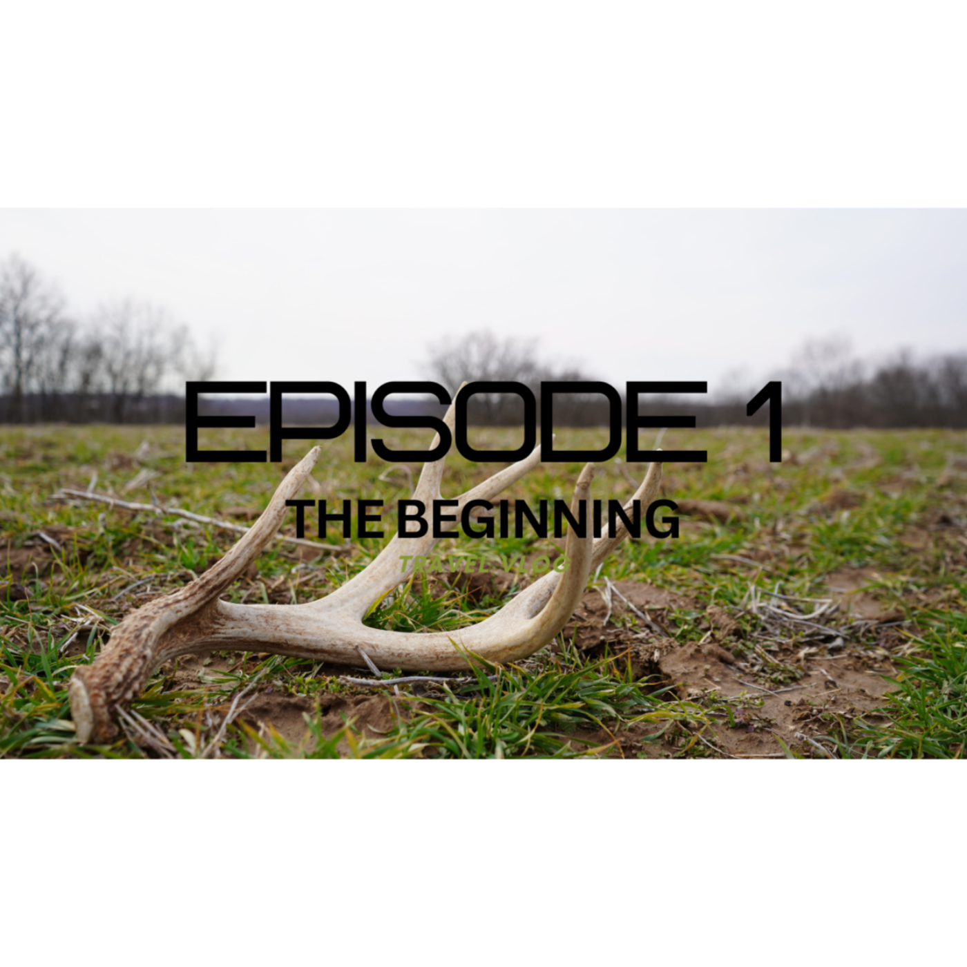 Ep. 1 The beginning