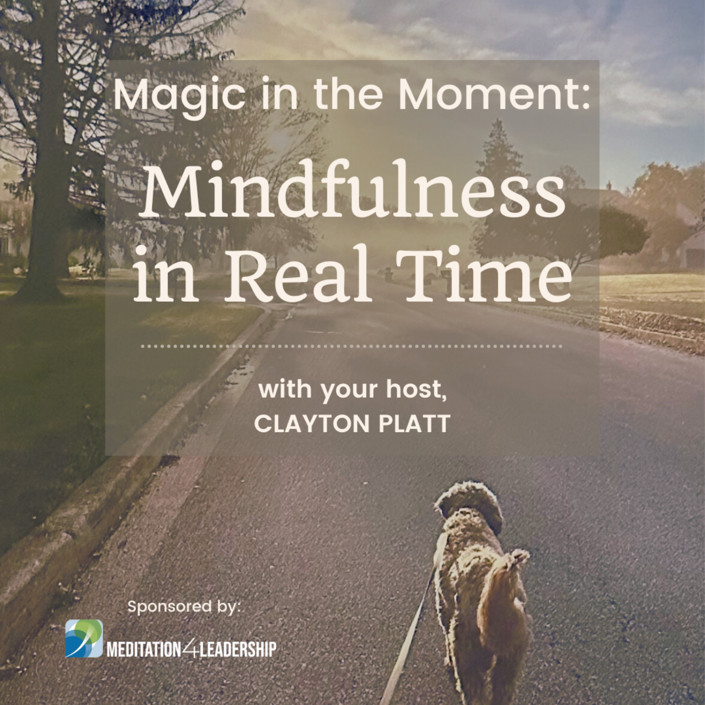 Magic in the Moment: Mindfulness In Real Time