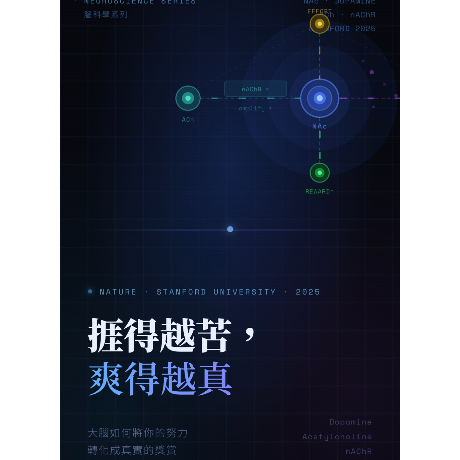   🔬 《Nature》研究：努力，如何改變大腦的獎賞機制.      episode artwork