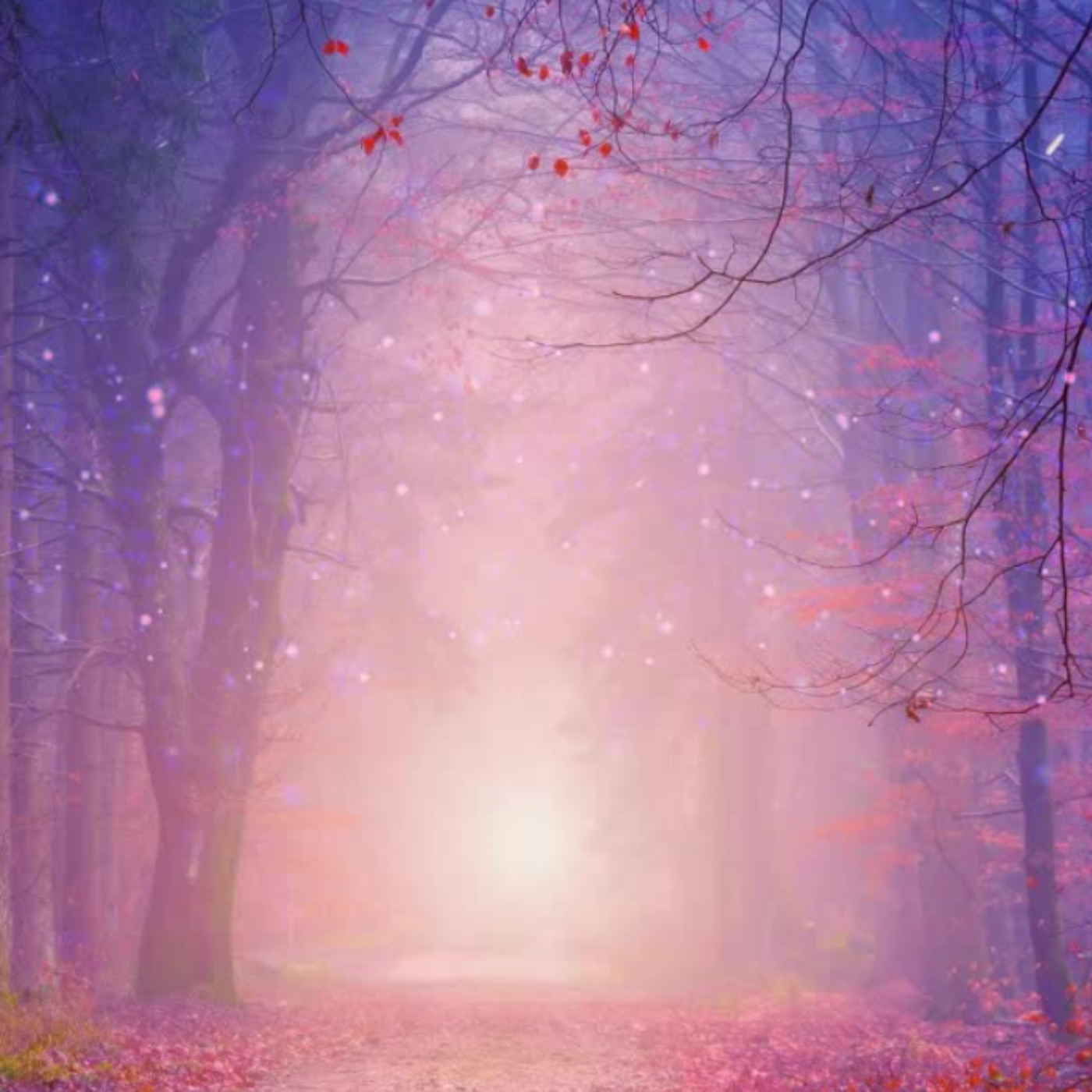 Activate Inner Healing for the Body: 8-Minute Hypnosis for Self-Restoration episode artwork
