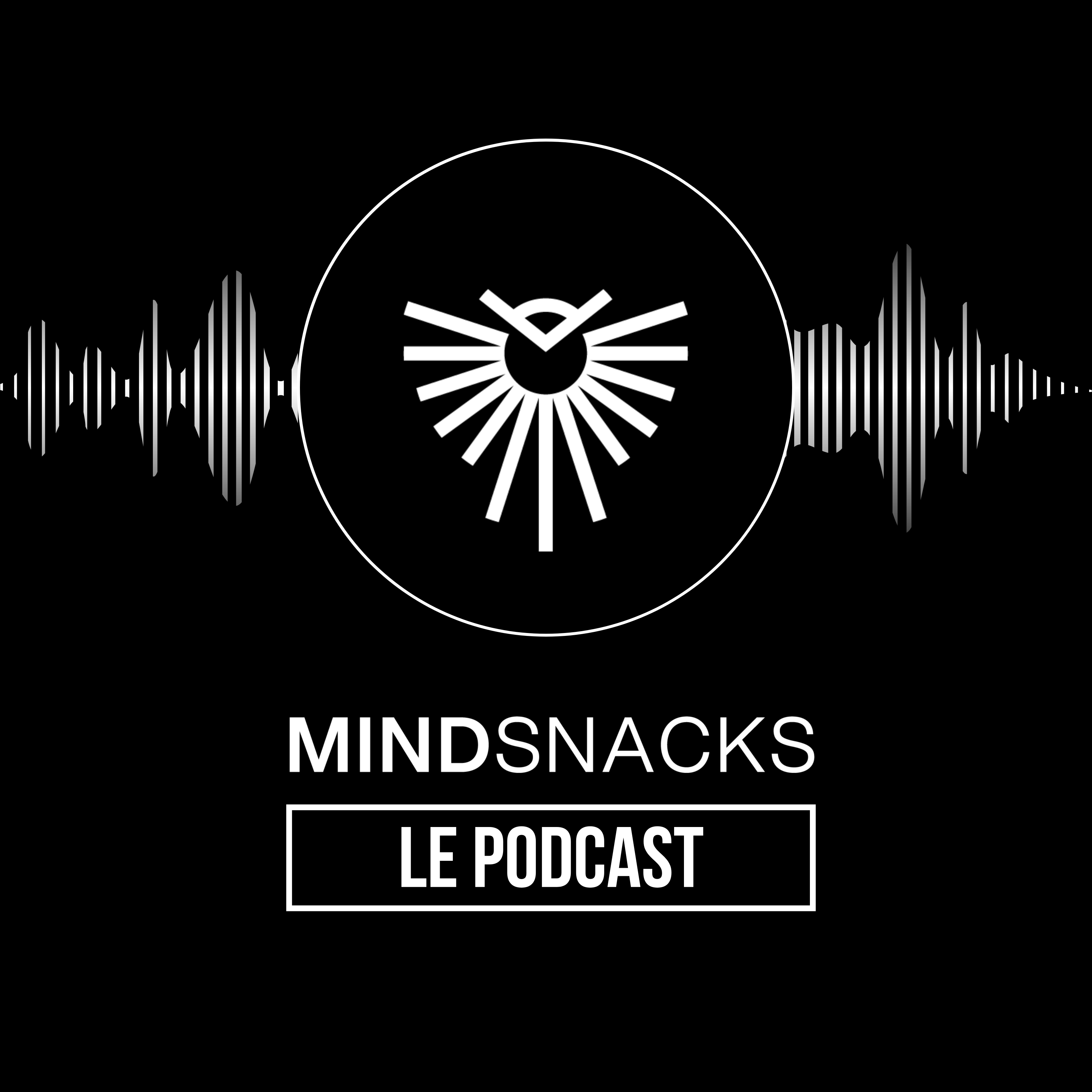 MindSnacks - Le Podcast