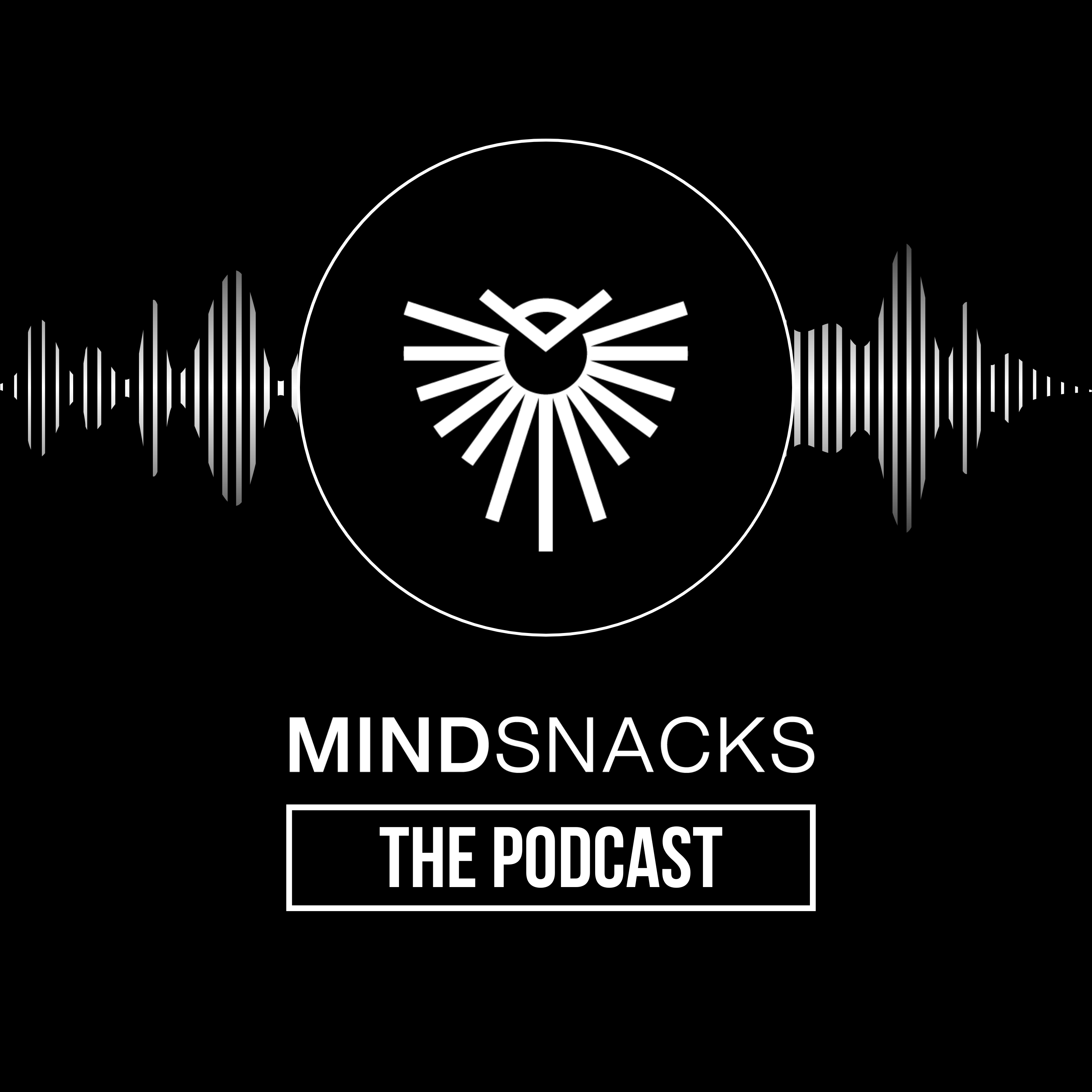 MindSnacks — The Podcast