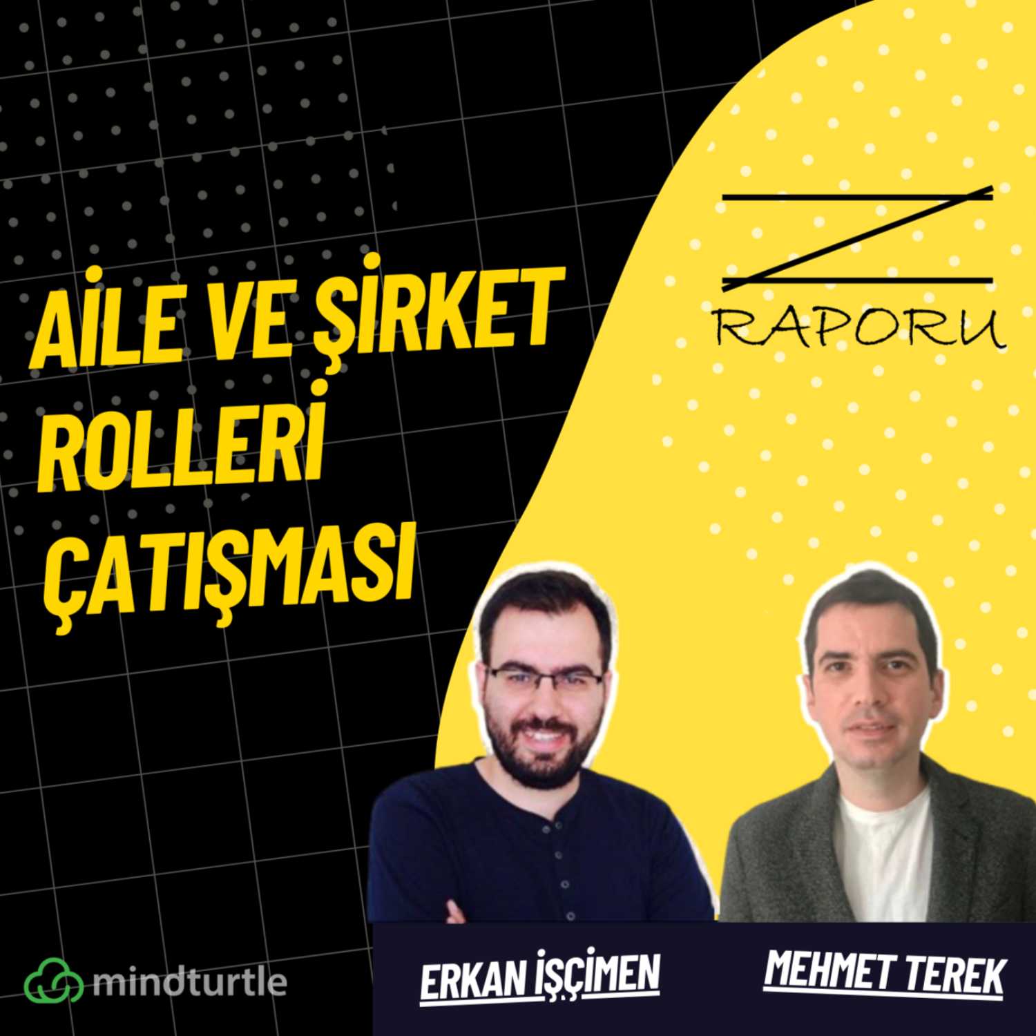 Z Raporu (mindturtle.com)