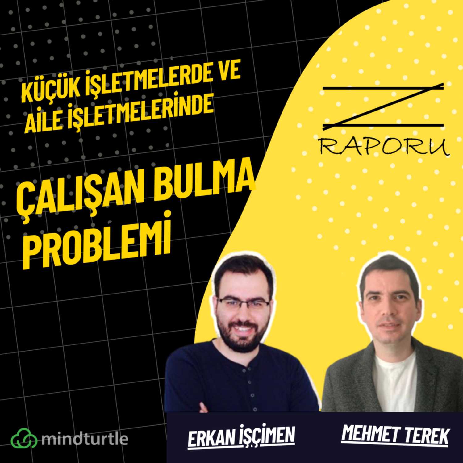 Z Raporu (mindturtle.com)