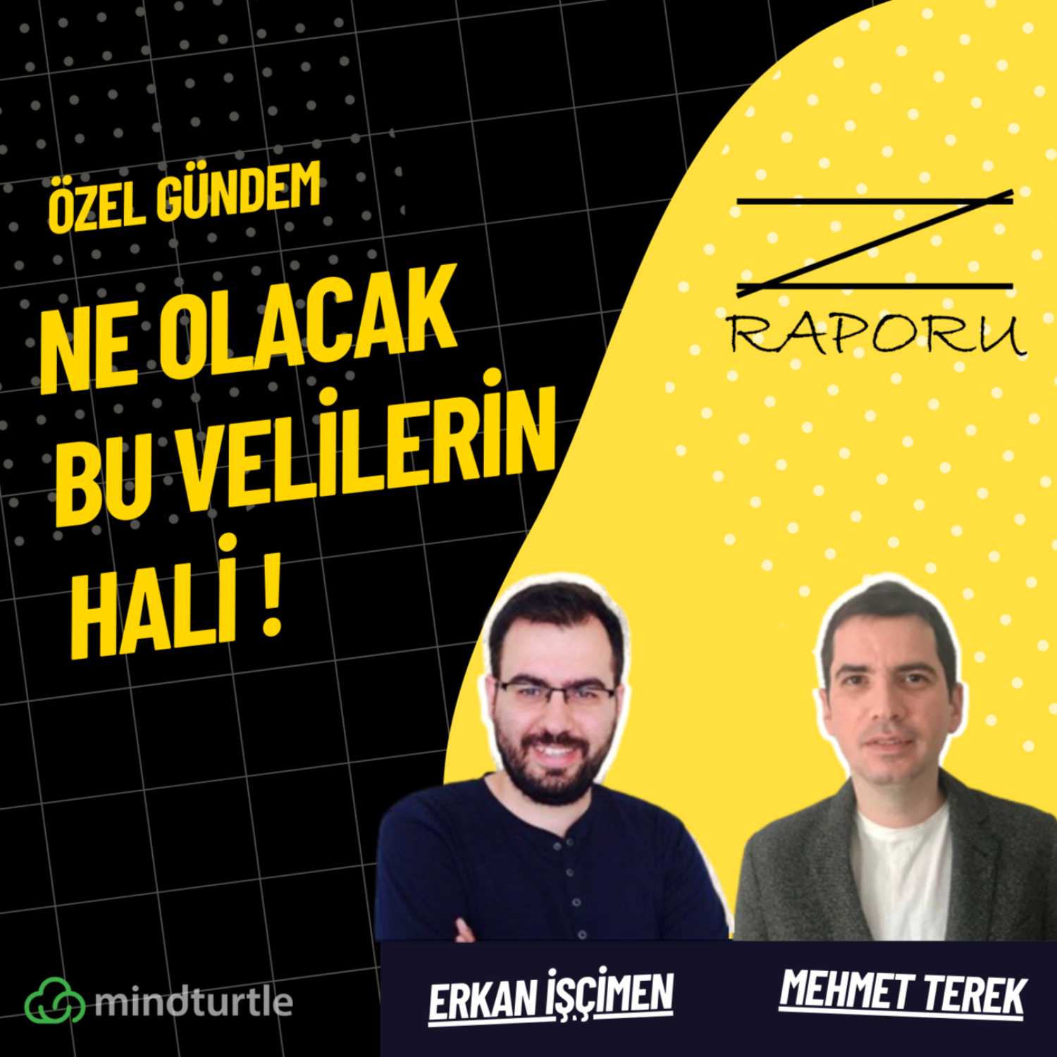 Z Raporu (mindturtle.com)