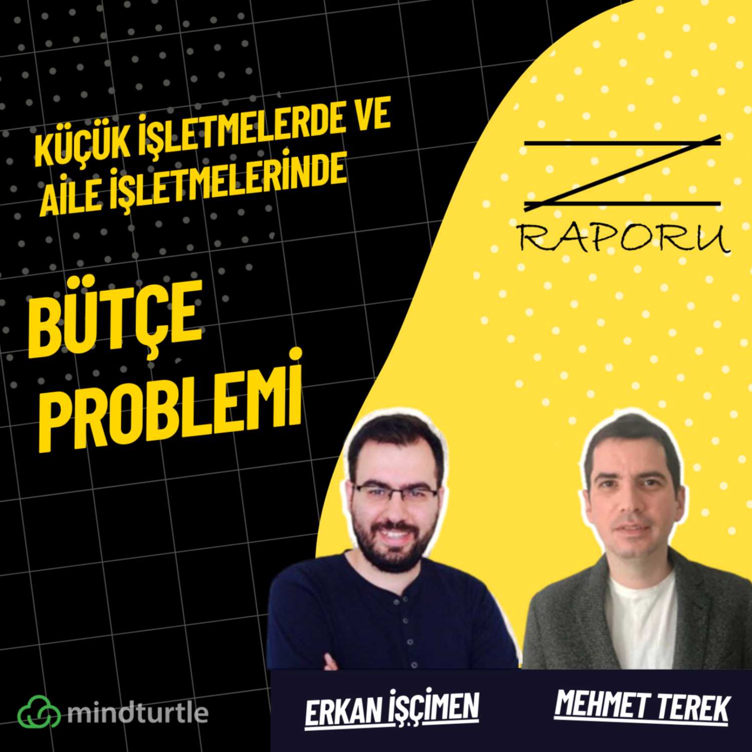 Z Raporu (mindturtle.com)