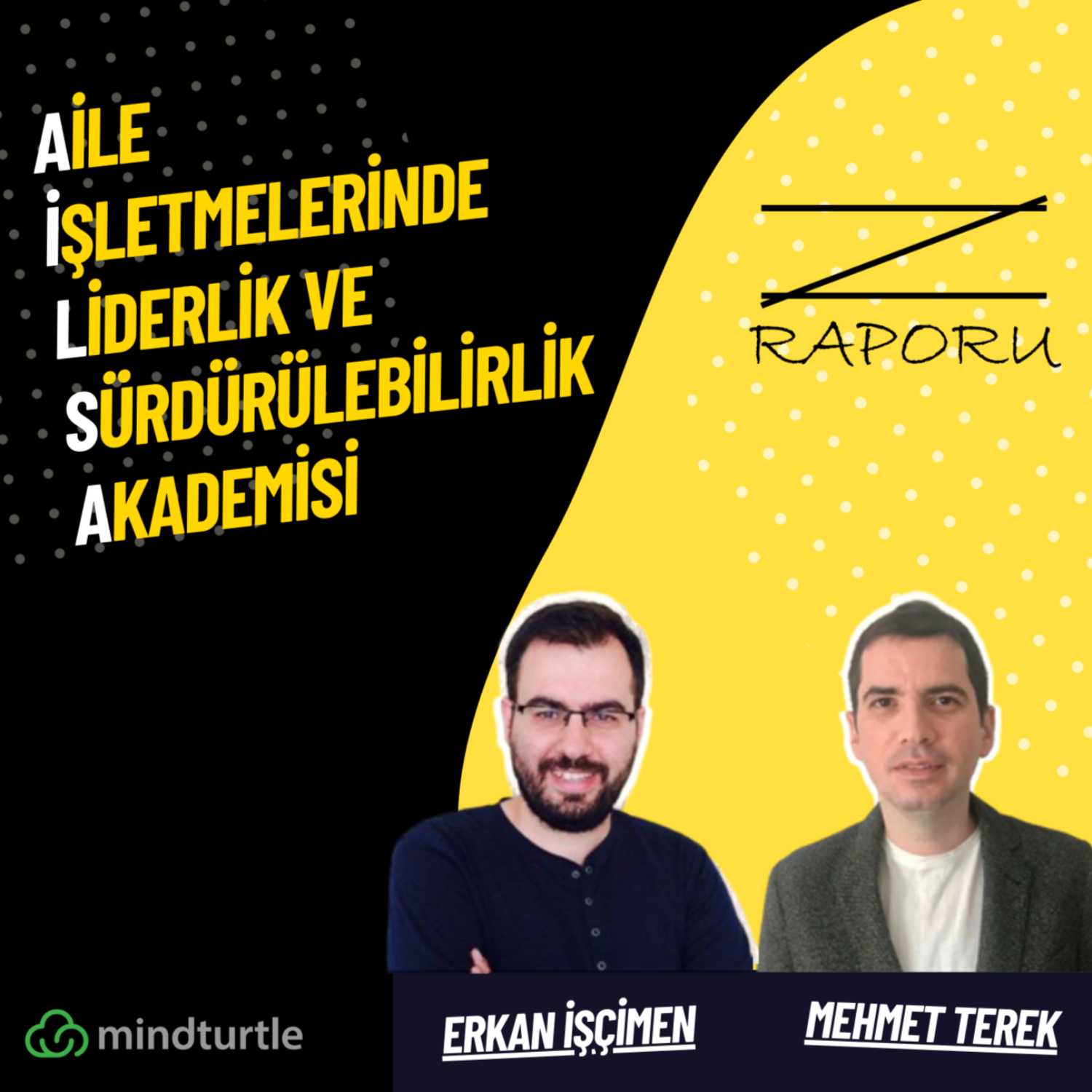 Z Raporu (mindturtle.com)