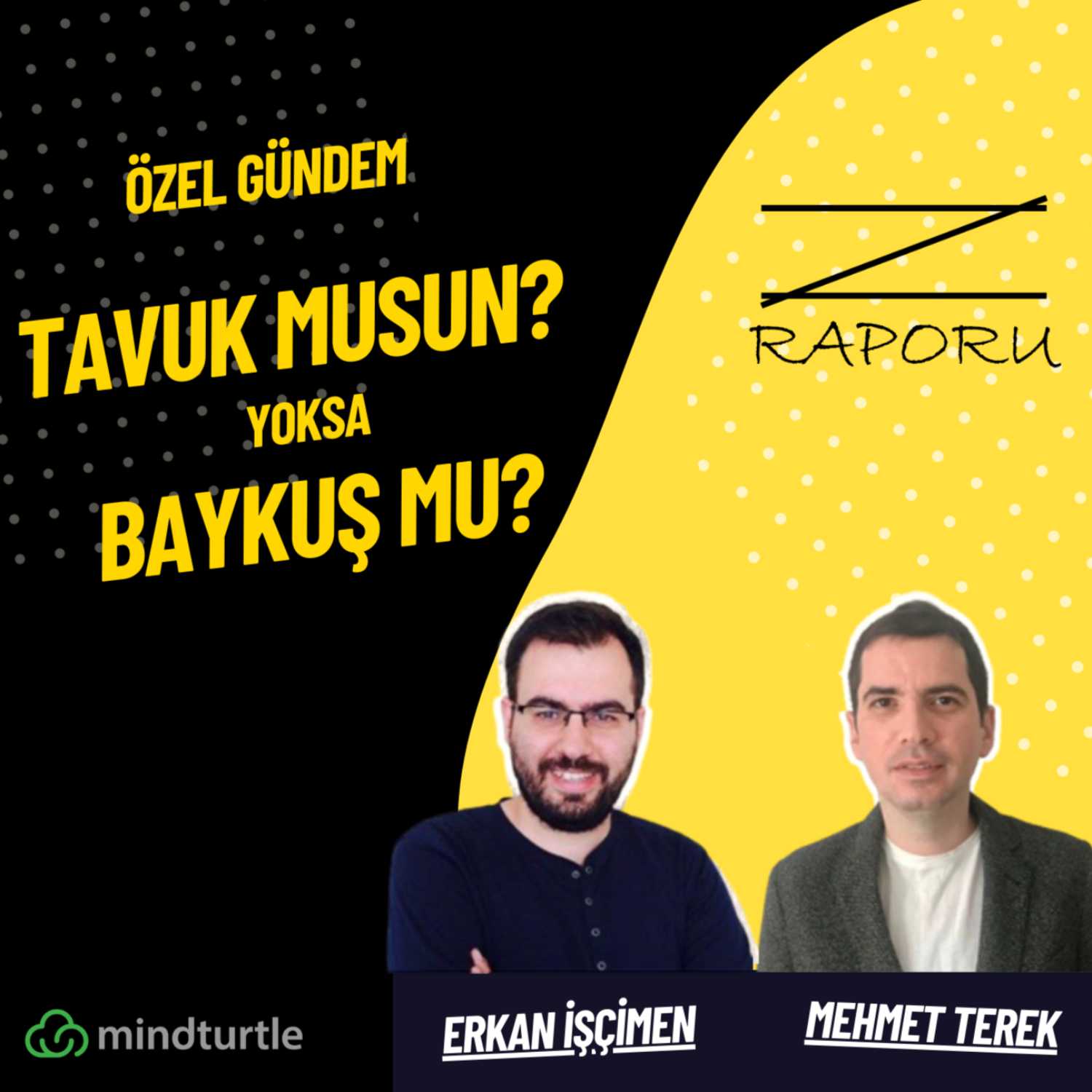 Z Raporu (mindturtle.com)