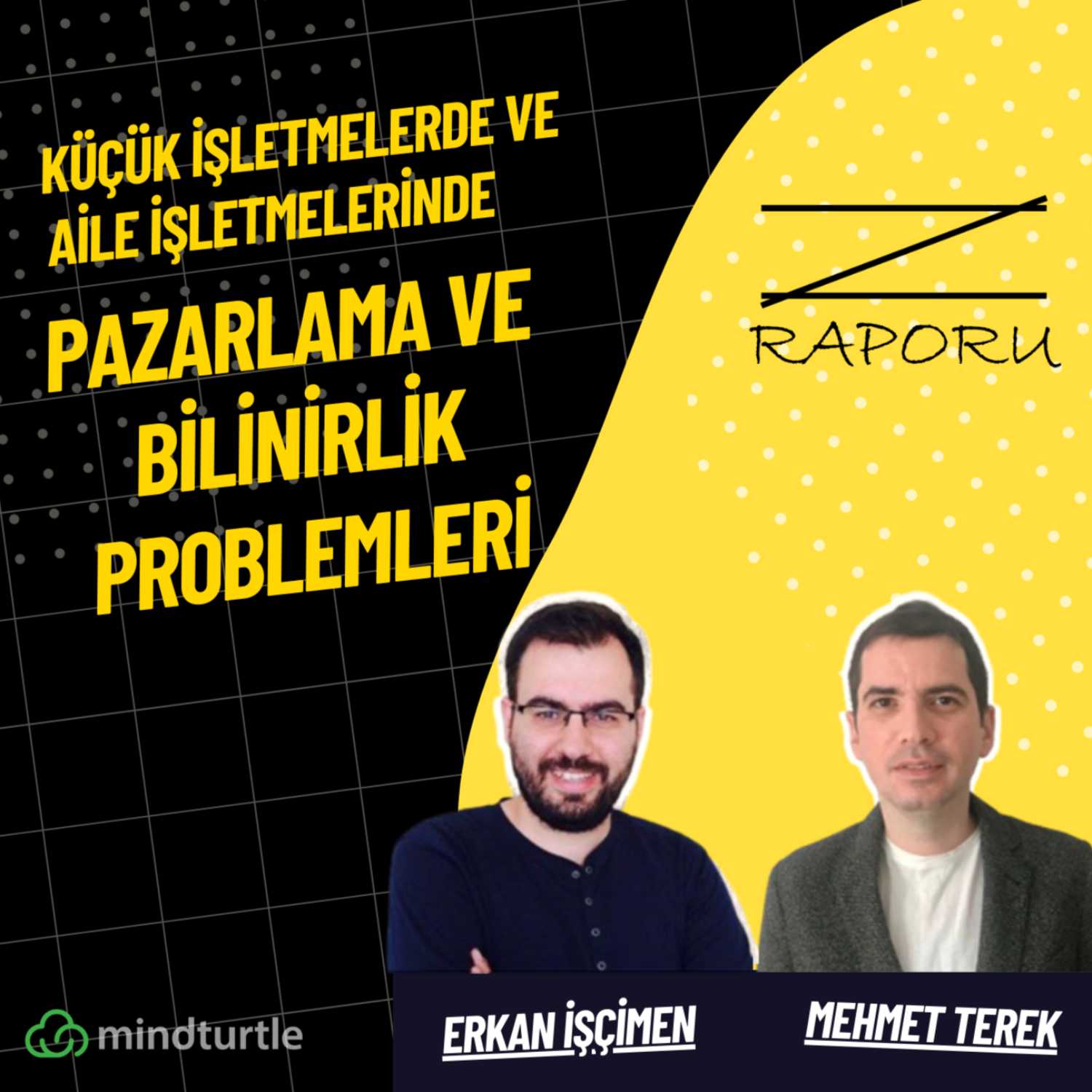 Z Raporu (mindturtle.com)