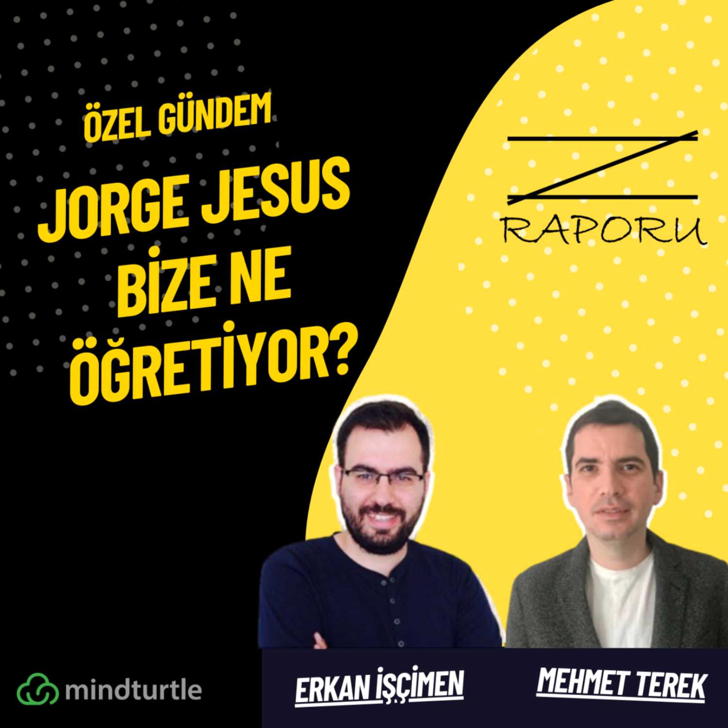 Z Raporu (mindturtle.com)