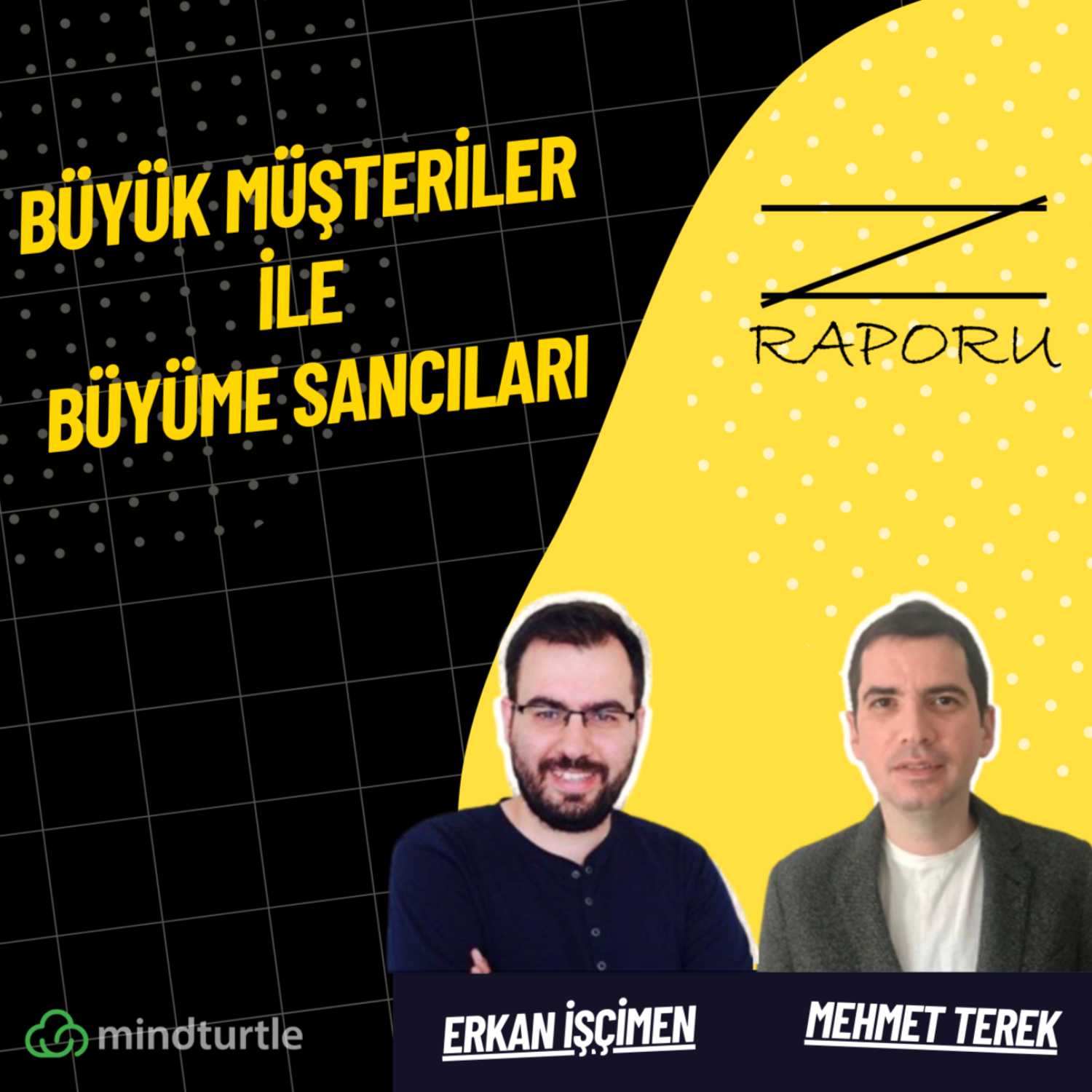 Z Raporu (mindturtle.com)