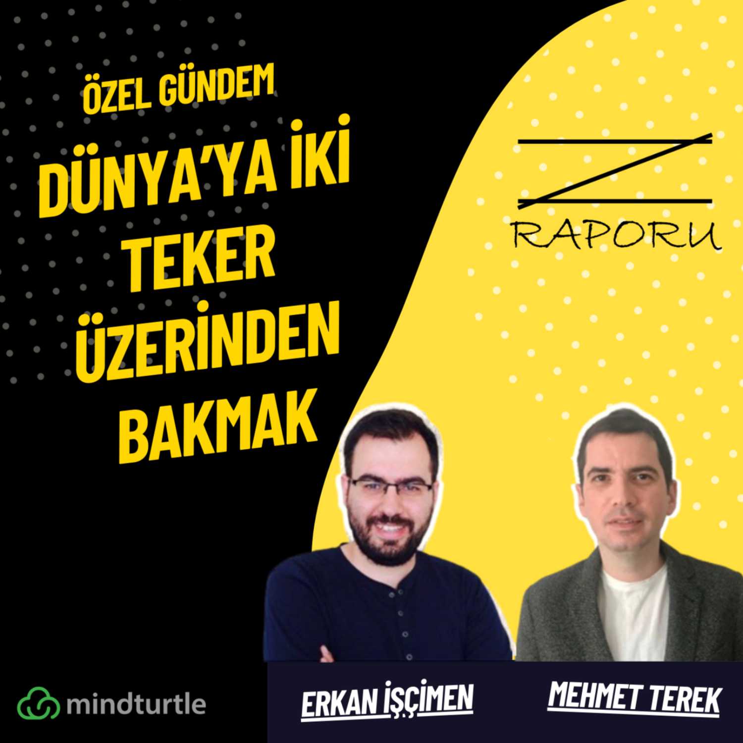 Z Raporu (mindturtle.com)