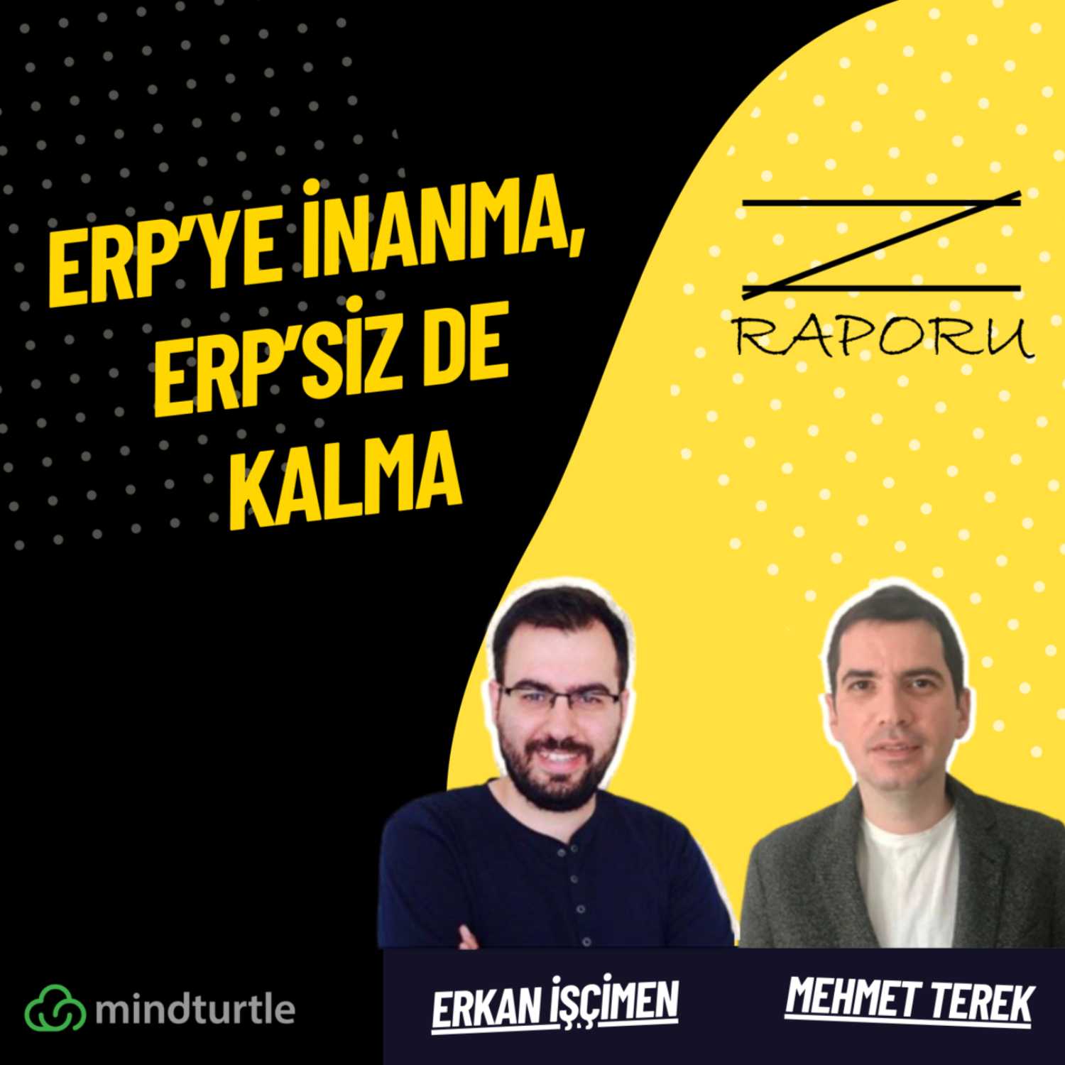 Z Raporu (mindturtle.com)