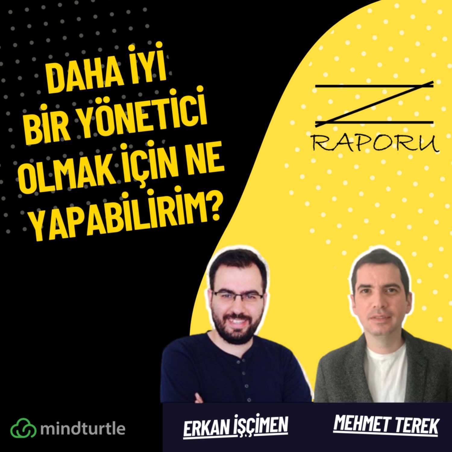 Z Raporu (mindturtle.com)