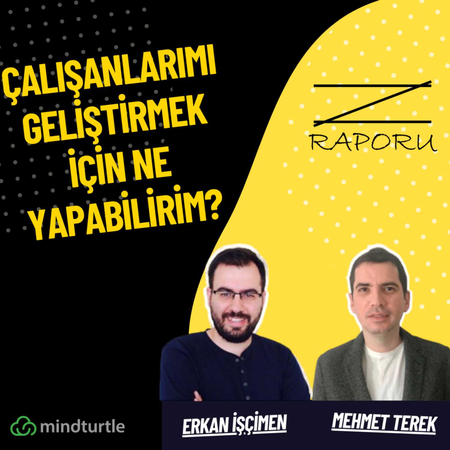 Z Raporu (mindturtle.com)