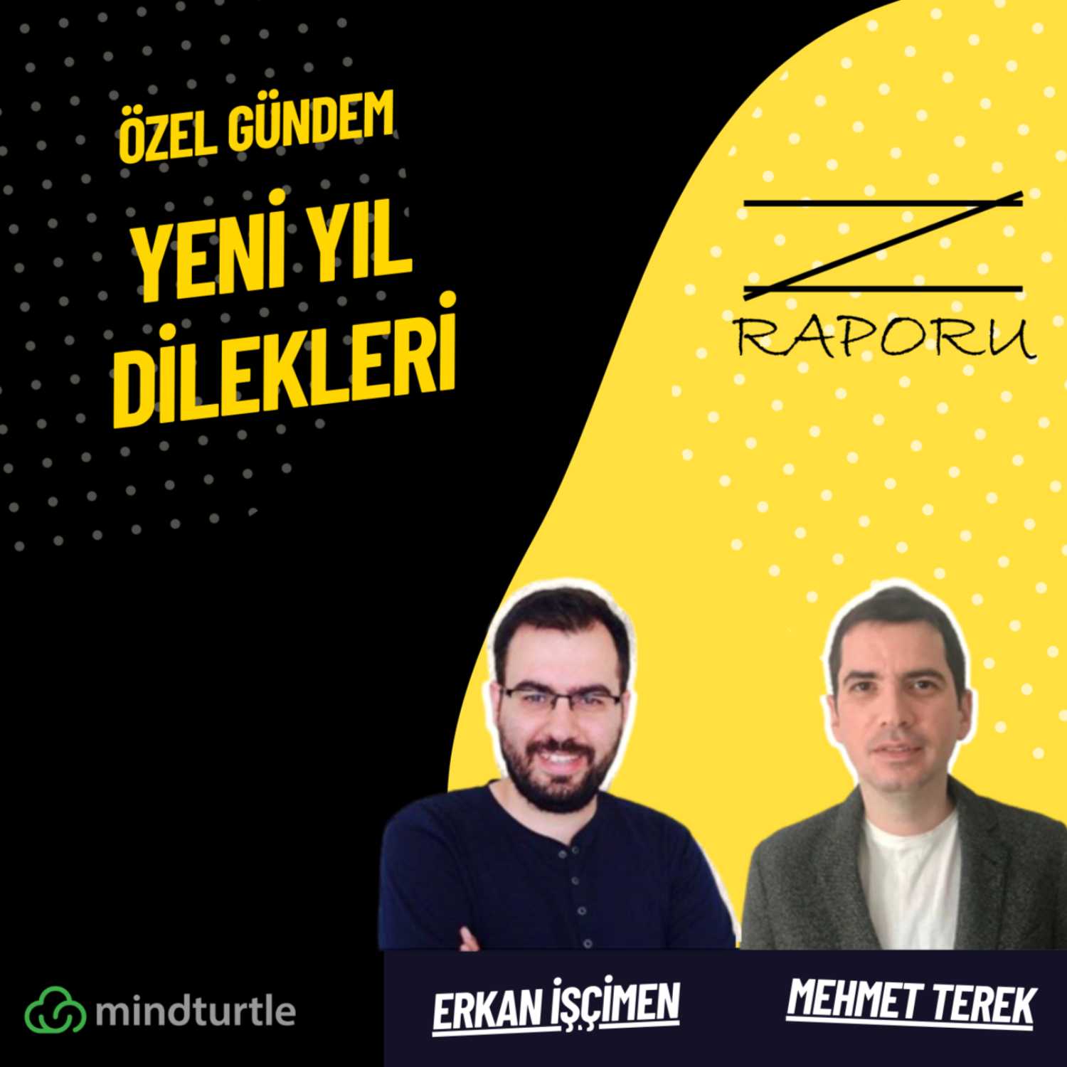 Z Raporu (mindturtle.com)