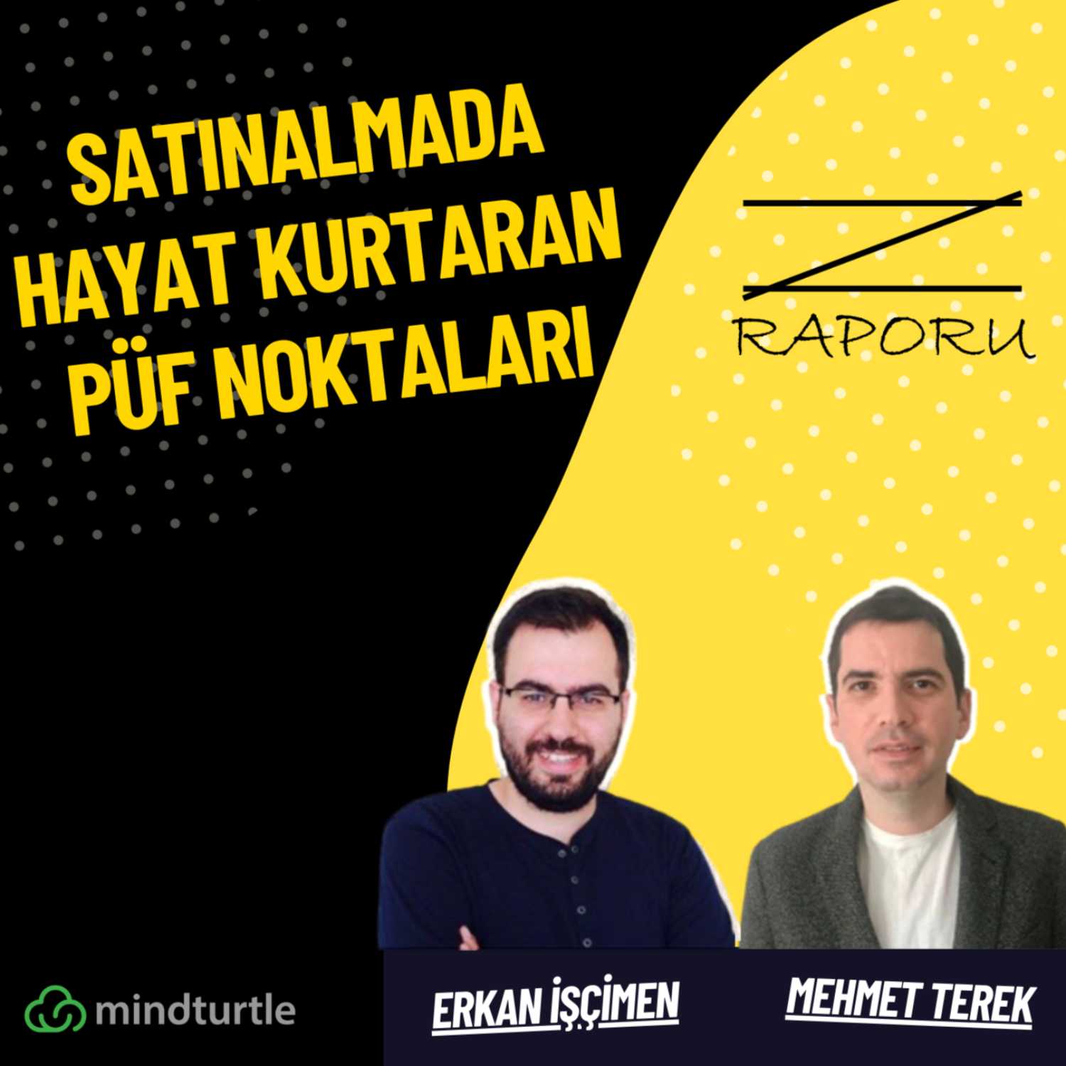 Z Raporu (mindturtle.com)