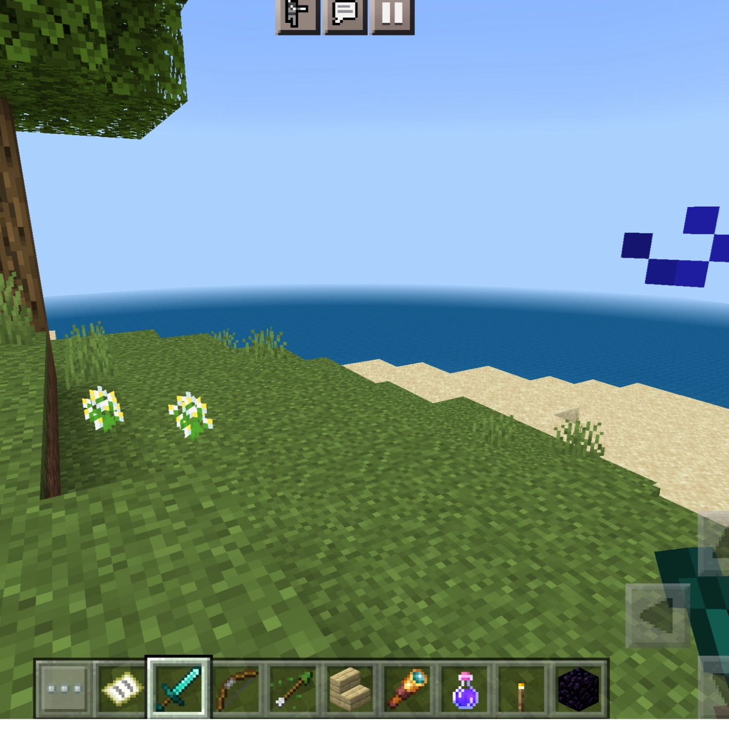 Mine the Minecraft basics