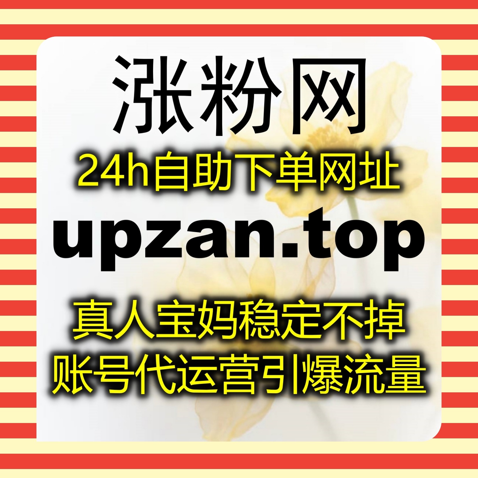在线全自动下单安排内容更新,深耕选车类目提升多平台自然浏览数据