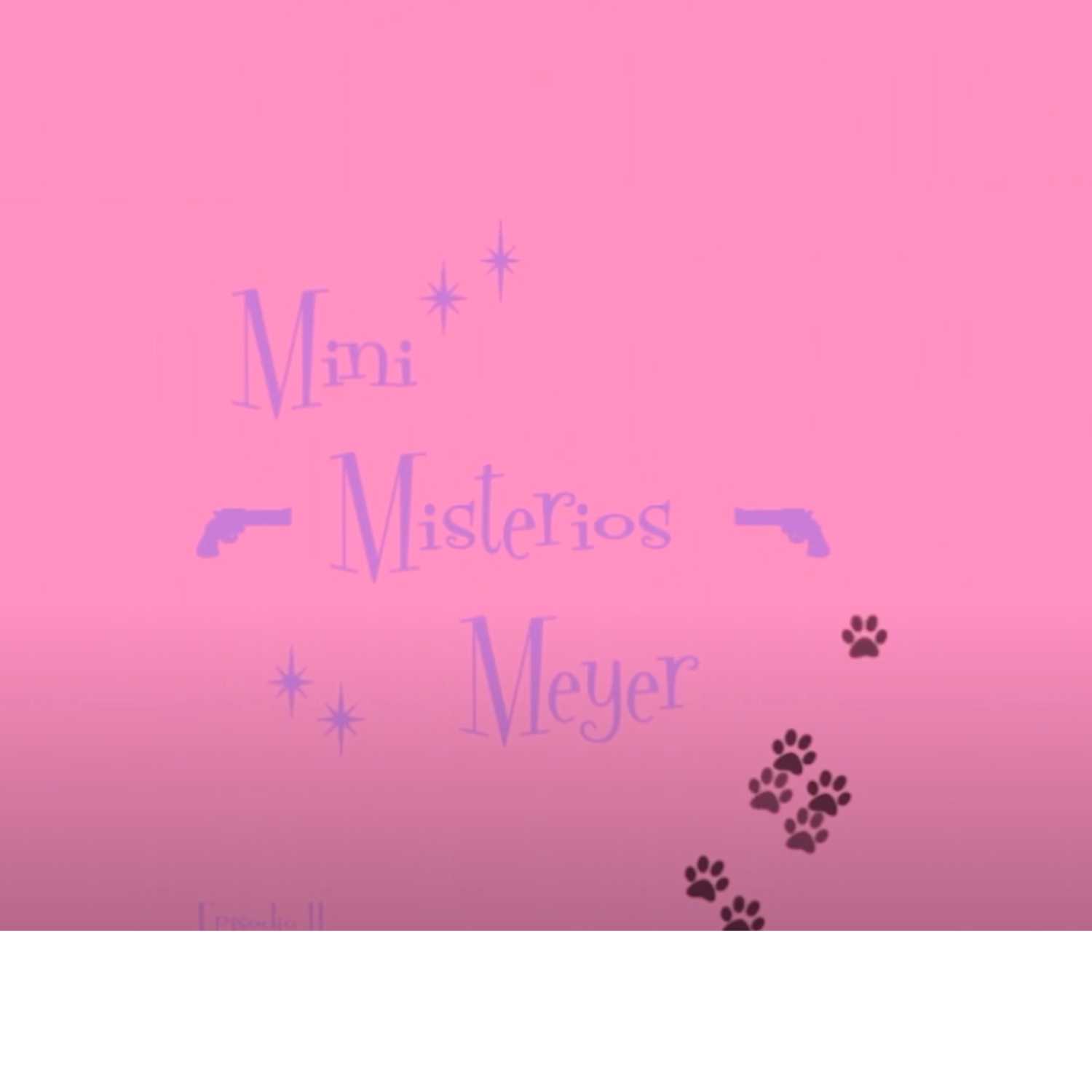 Mini Misterios Meyer