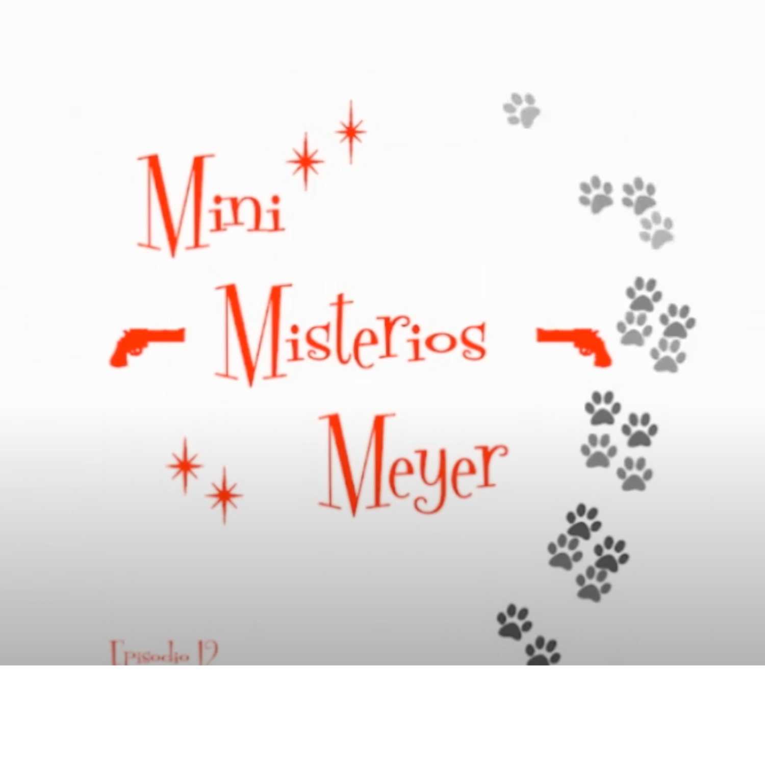 Mini Misterios Meyer