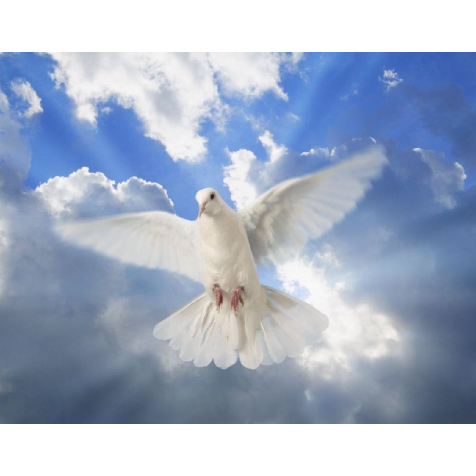 God is with you 12 min Devotional episode artwork