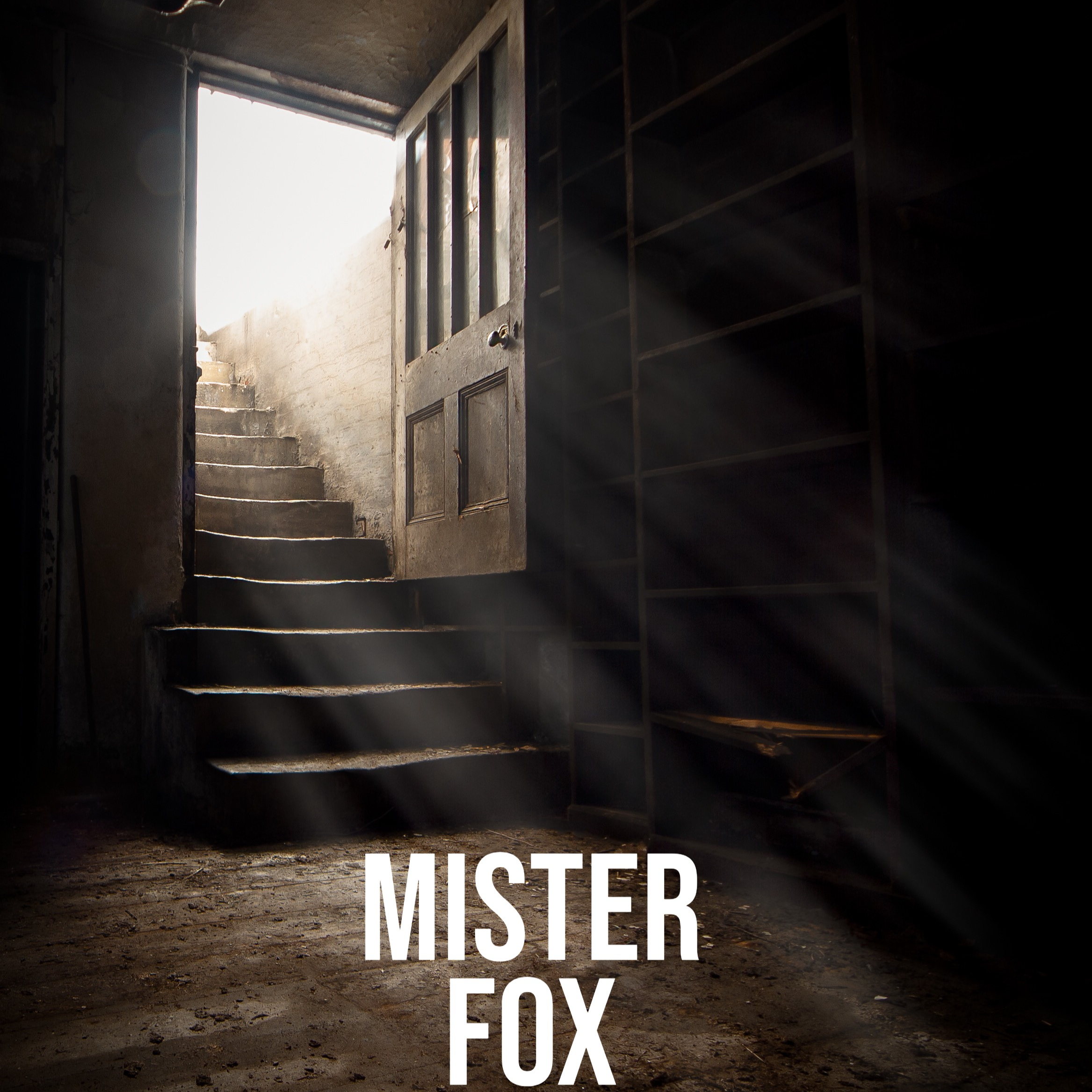 Mister Fox
