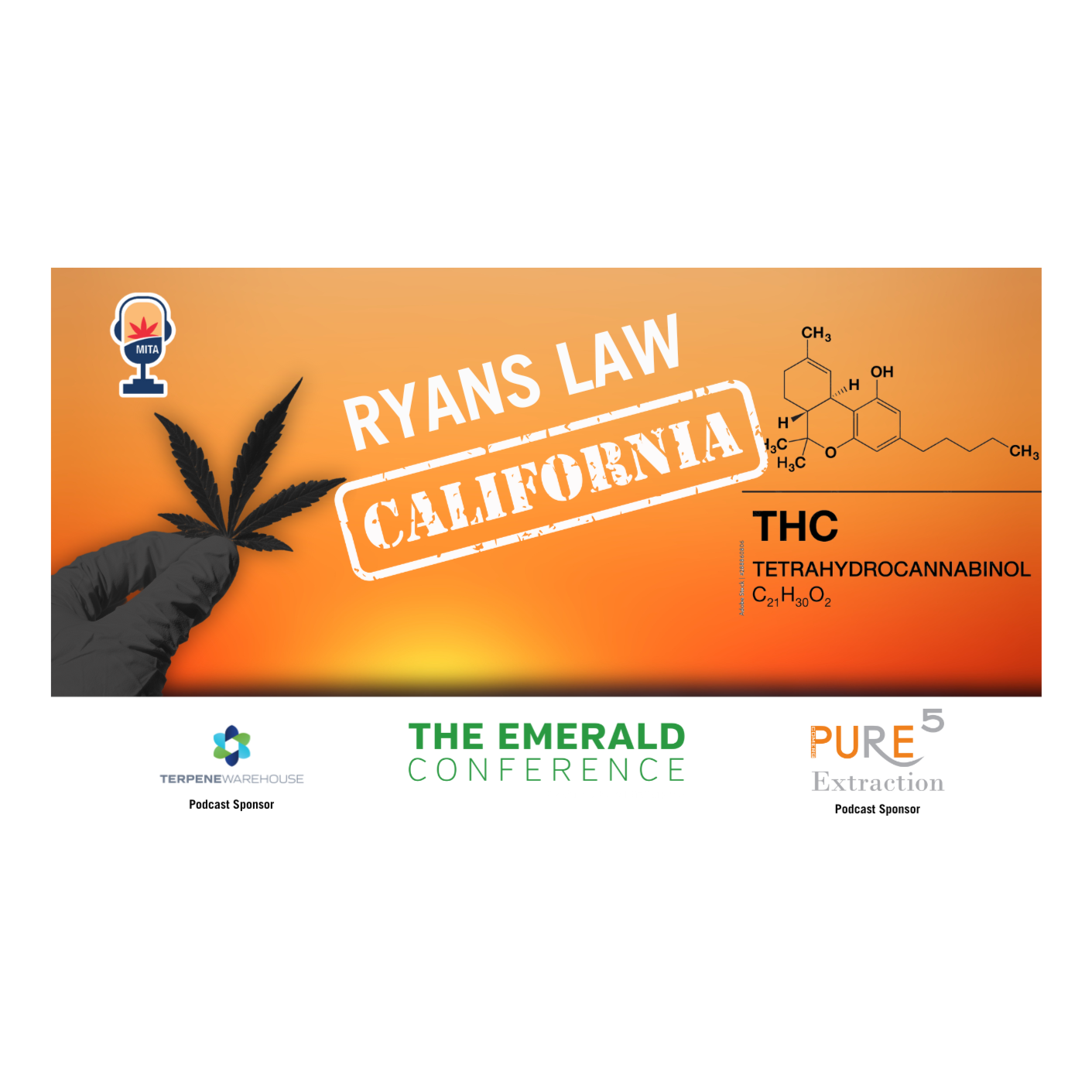 Ryan's Law and Beyond: Ken Sobel's Vision for Medical Cannabis episode artwork