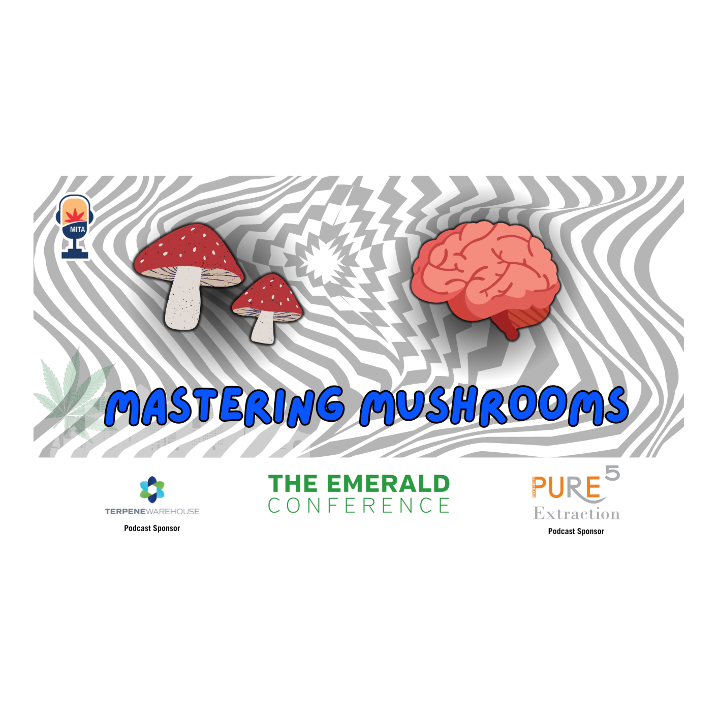 Mastering Mushroom Dosing: Ensuring Safe and Effective Experiences episode artwork