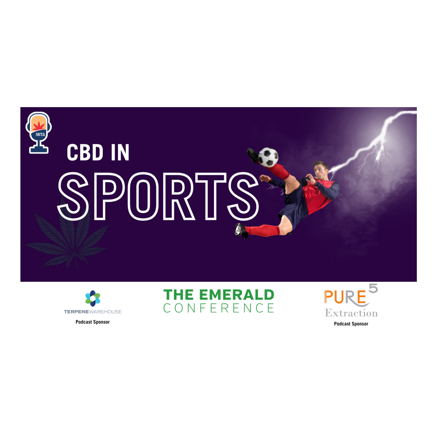 CBD and Athletes: Dr. Stuart Titus Shares Insights episode artwork