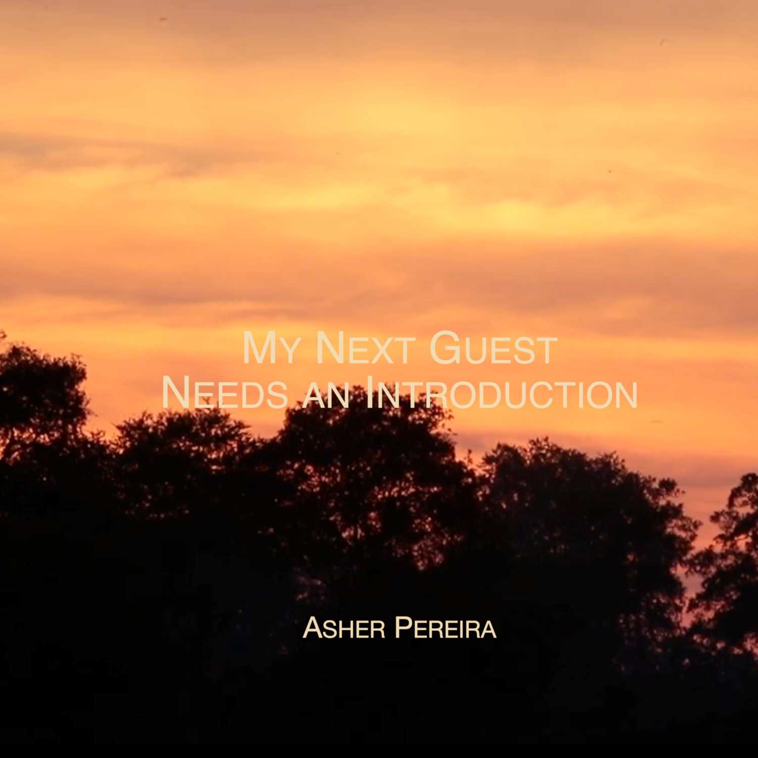 My Next Guest Needs an Introduction