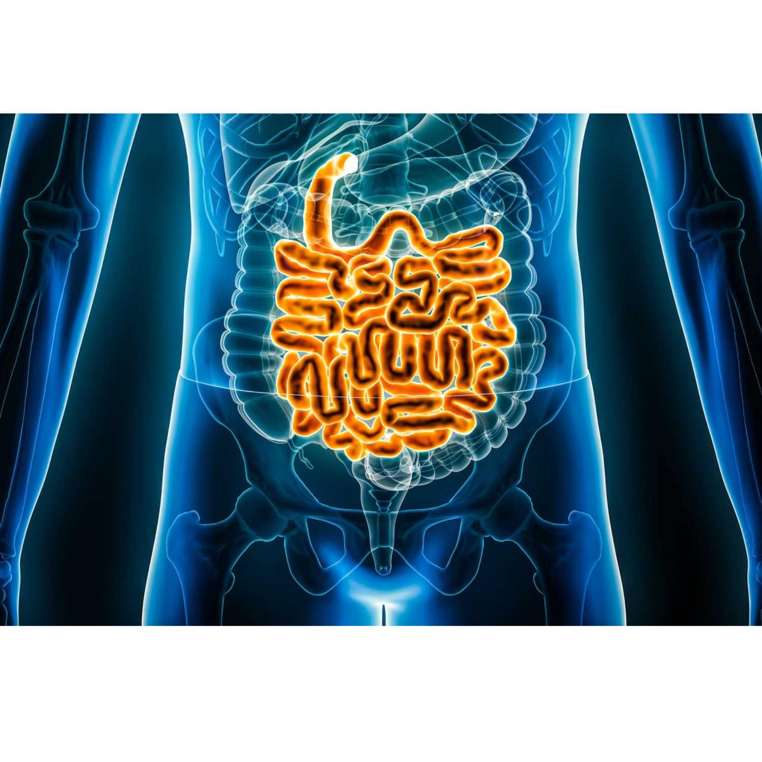Medical Myths - All about IBD episode artwork