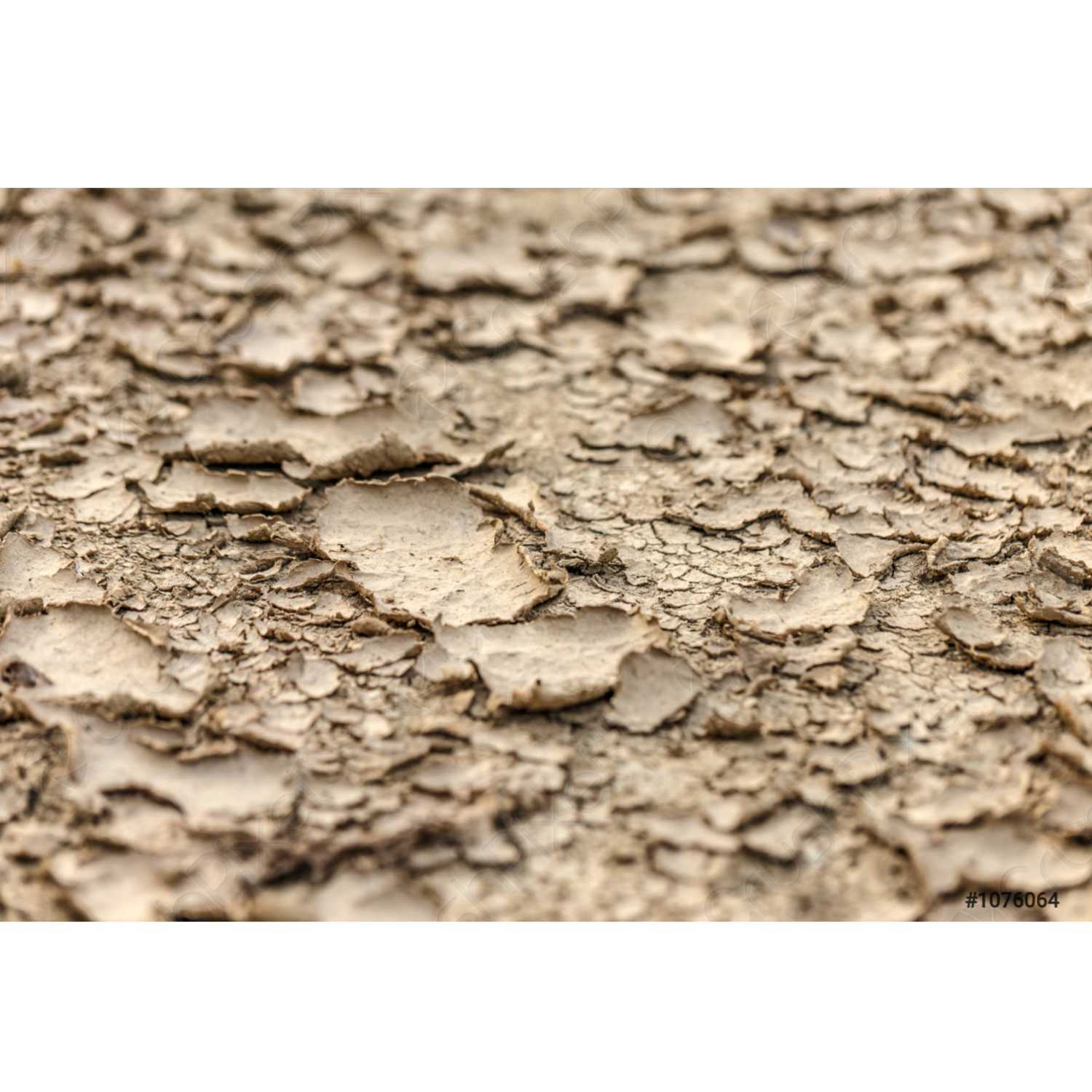WHAT FACTORS CONTRIBUTE TO DRY SKIN? episode artwork
