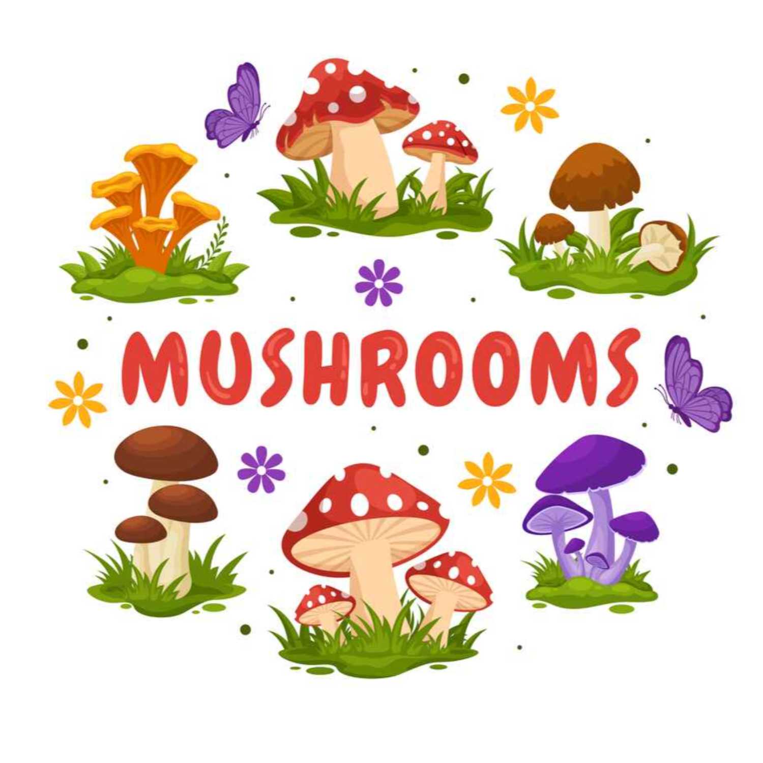Psilocybin From Mushrooms May Reduce Depression Symptoms In People With Cancer episode artwork