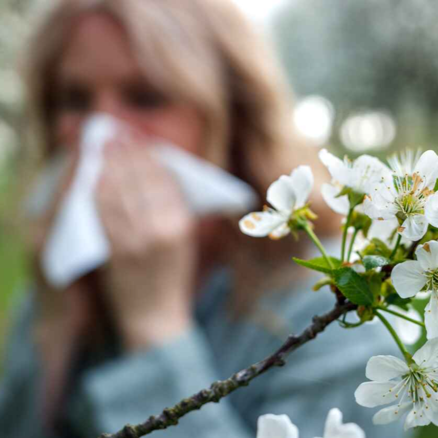An Essential Guide to the Different Types of Pollen Allergies episode artwork