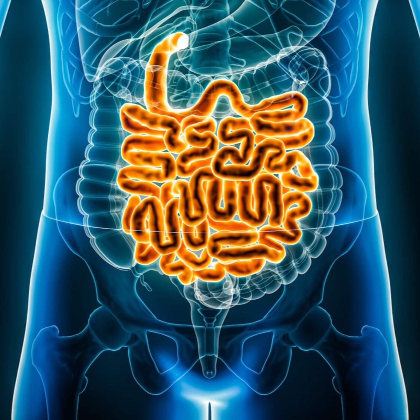 Medical Myths - All About IBD episode artwork