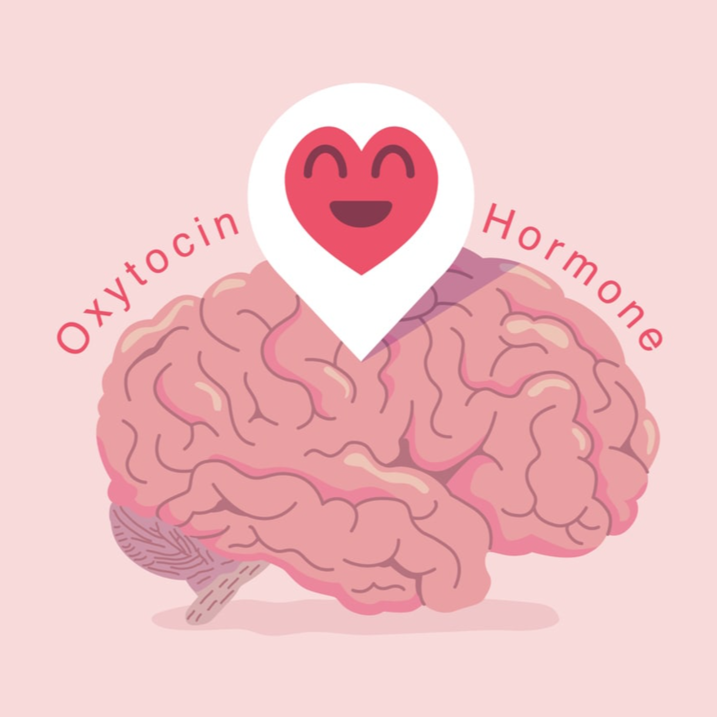 What Is The Link Between Love And Oxytocin episode artwork