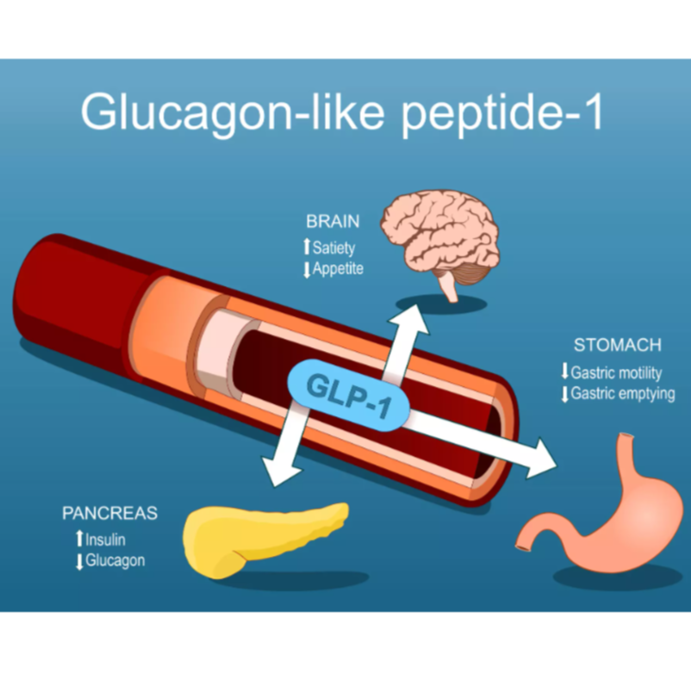 GLP‑1 Medications & Cravings: How Ozempic & Wegovy Reduce Urges episode artwork