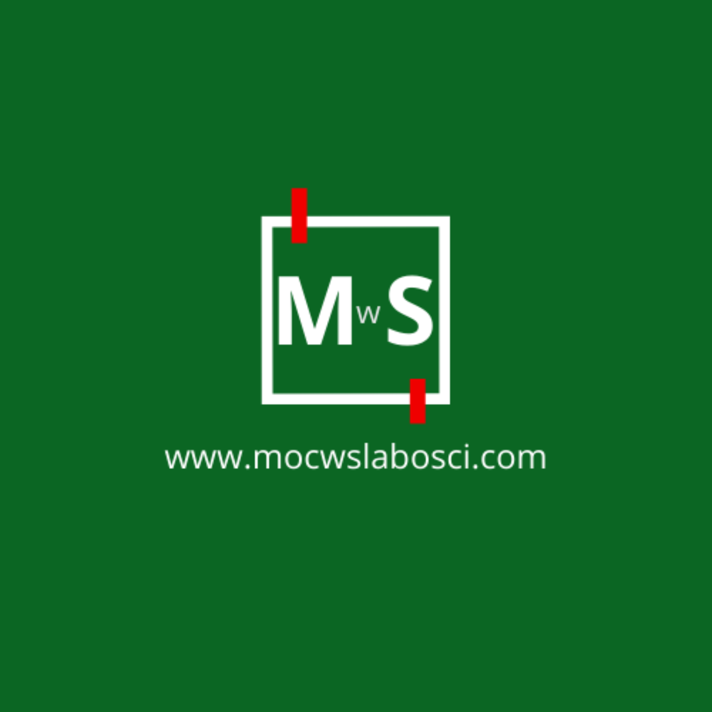 Moc w Słabości